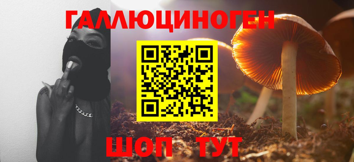 купить   Галлюциногенные грибы мицелий  Псилоцибиновые грибы Psilocybe  Вход с VPN  Лесной 