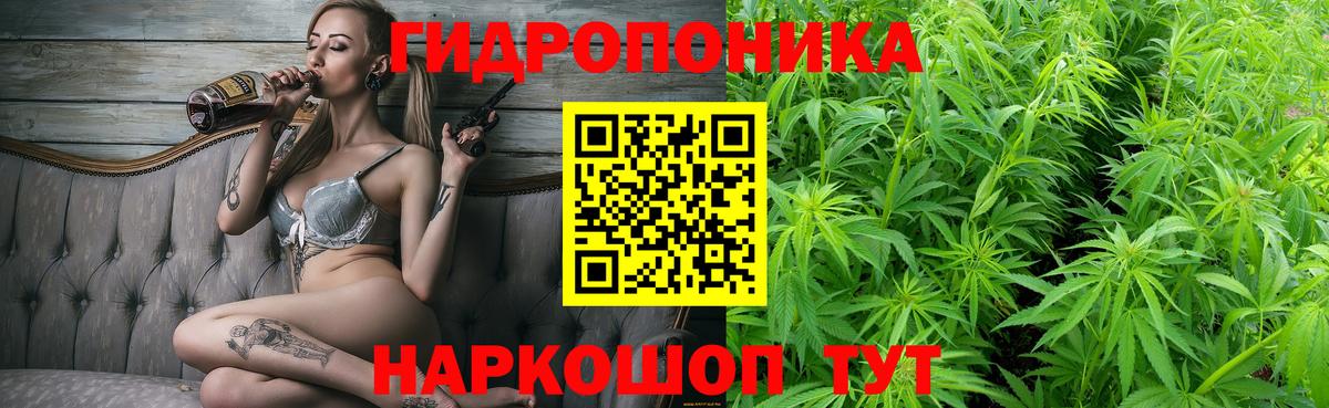 Бошки марихуана сатива  Каннабис гибрид  Марихуана SATIVA & INDICA  Лесной  Каннабис White Widow  Вход с VPN 